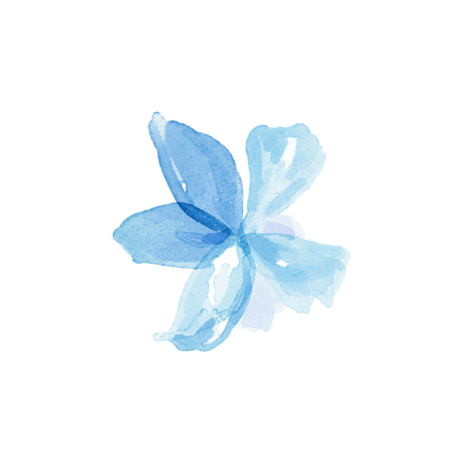 Petite fleur bleue en aquarelle illustrant la politique de confidentialité de Hyppa Events